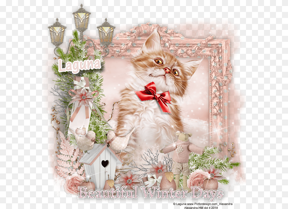 Kitten, Greeting Card, Mail, Envelope, Mammal Free Png Download