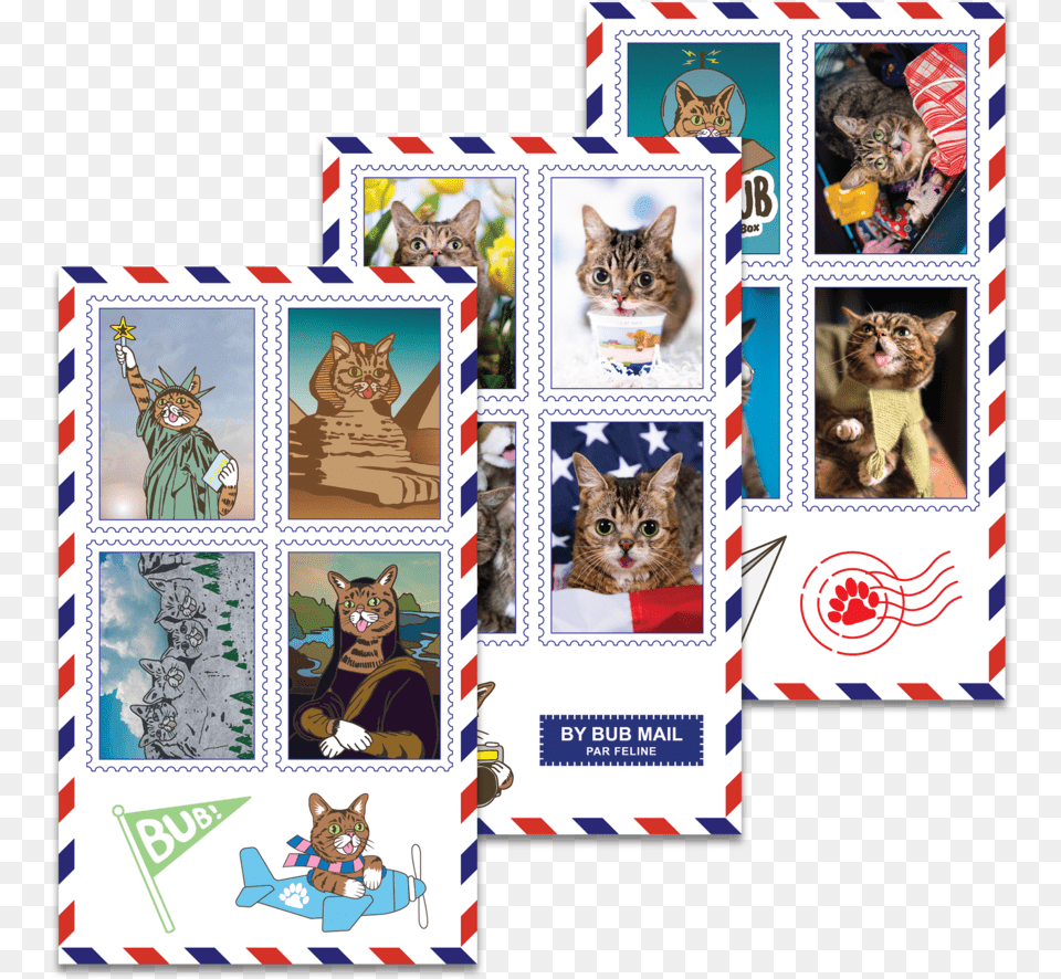 Kitten, Envelope, Mail, Animal, Cat Png