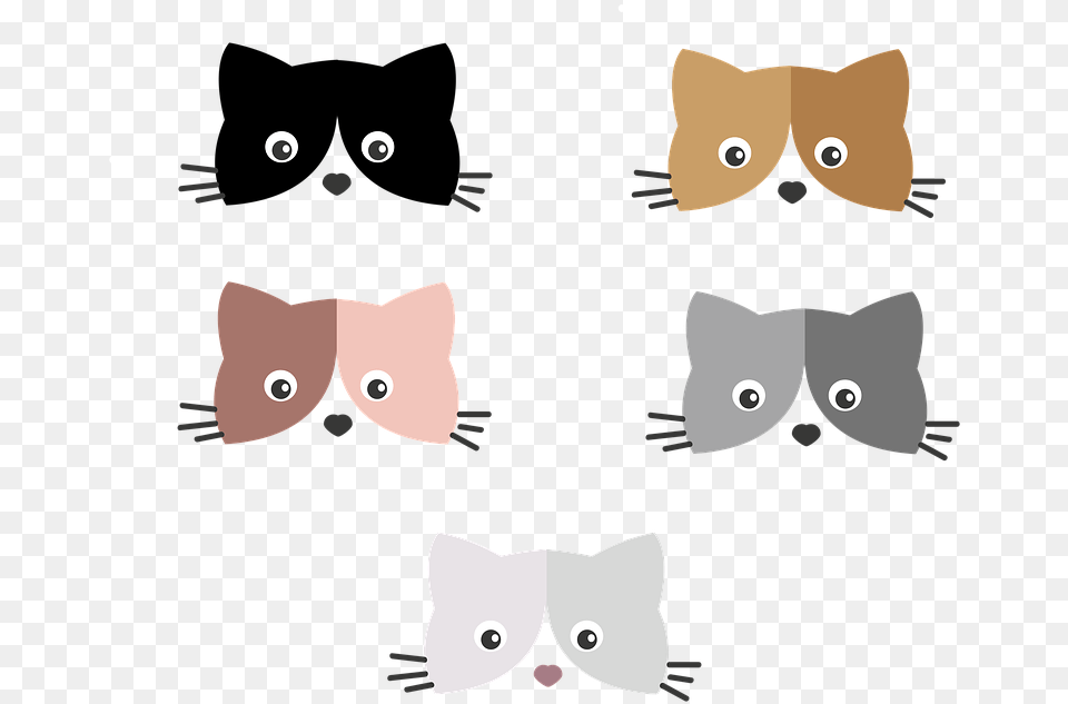 Kitten, Accessories, Formal Wear, Tie, Bow Tie Free Png Download