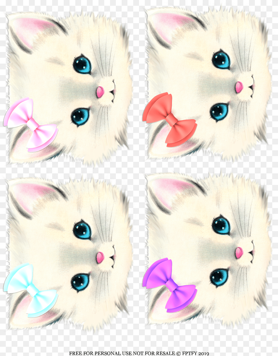 Kitten Png Image