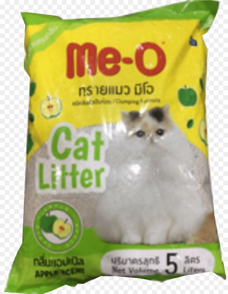Kitten, Powder, Animal, Cat, Mammal Free Png Download