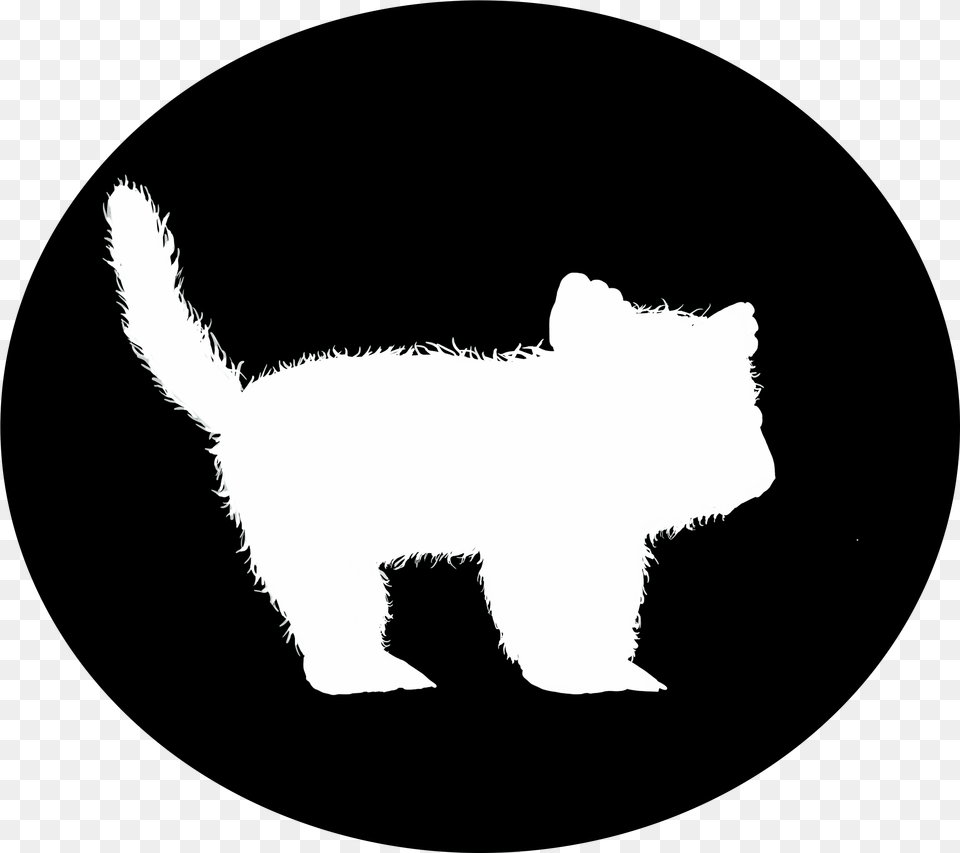 Kitten Cat, Silhouette, Stencil, Animal, Baby Png Image