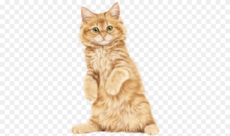 Kitten Cat Clip Art Persian Kitten Hd, Animal, Mammal, Manx, Pet Free Png Download