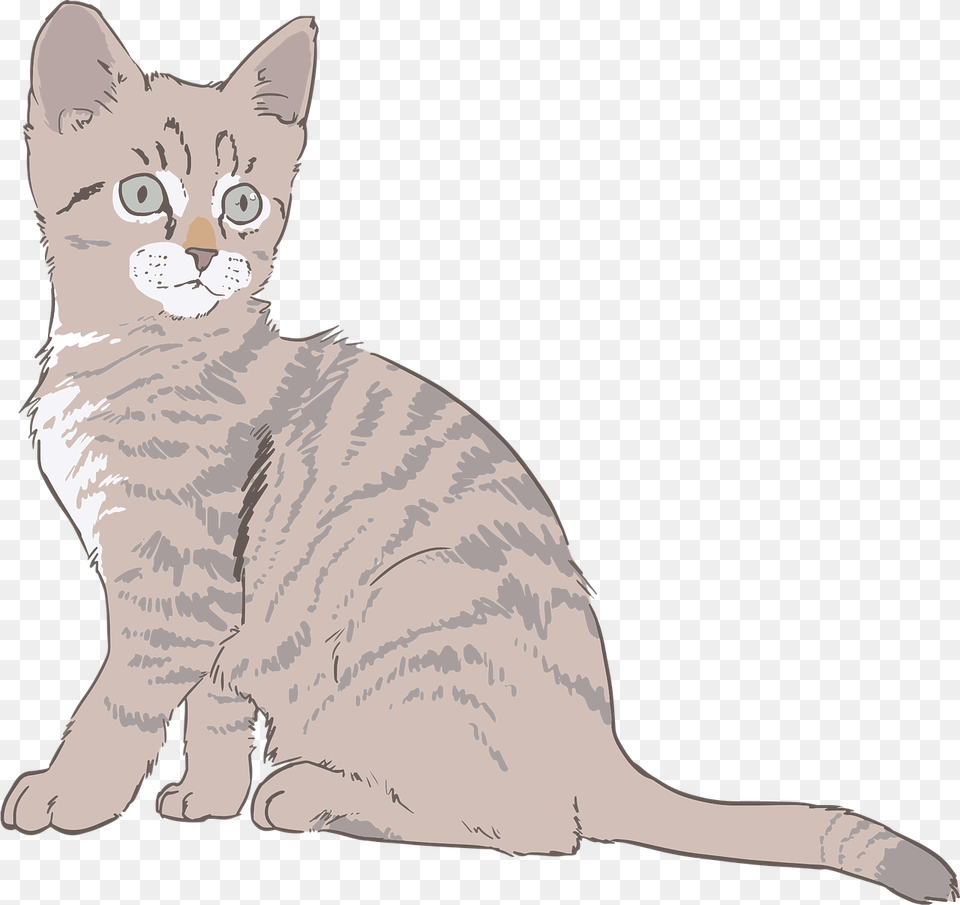 Kitten Cat Drawing Line Art Line Art Fur Kitty Kitten Draw Background, Animal, Mammal, Pet Free Transparent Png