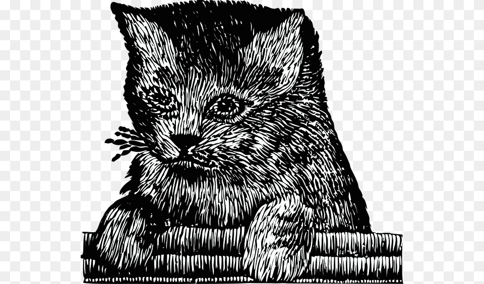 Kitten Cat Pet Cute Embroidery Feline Illustration, Art, Drawing, Animal, Bird Free Png