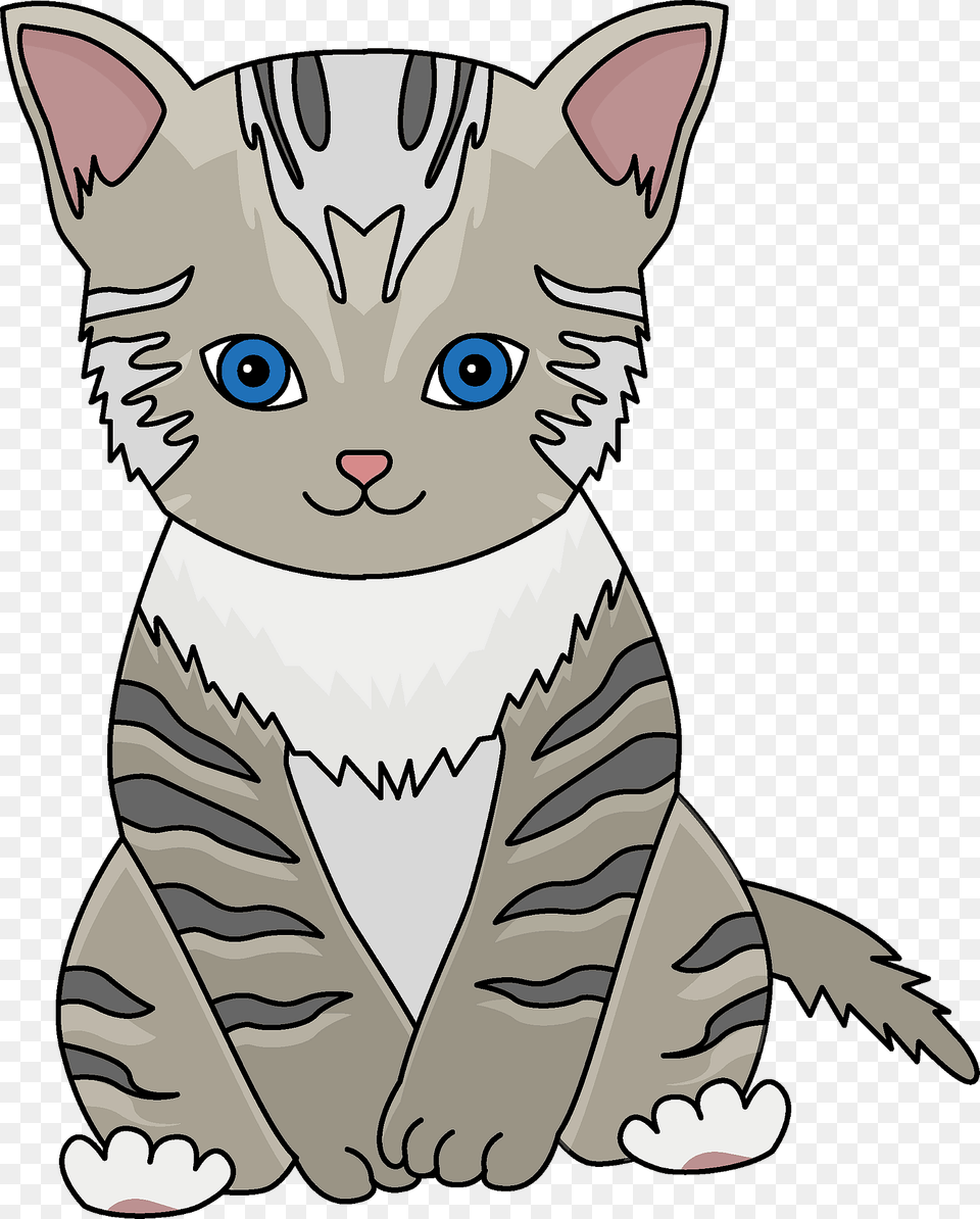 Kitten Clipart, Baby, Person, Animal, Cat Free Png