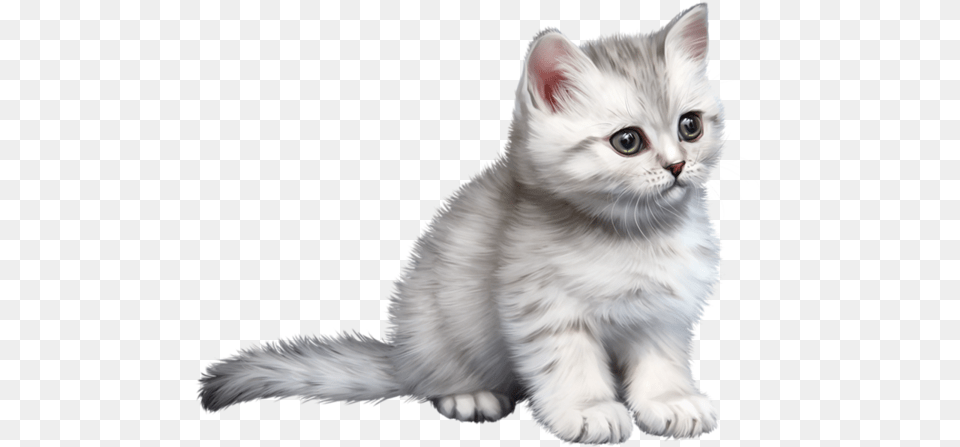 Kitten Clipart, Angora, Animal, Cat, Mammal Free Transparent Png