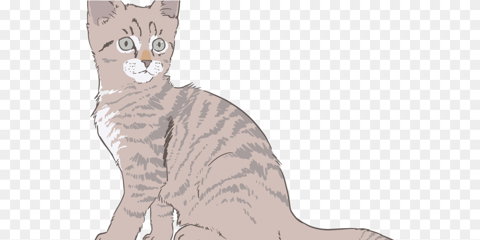 Kitten Clipart Public Domain Dibujos De Gato A Color, Animal, Cat, Mammal, Pet Free Png Download