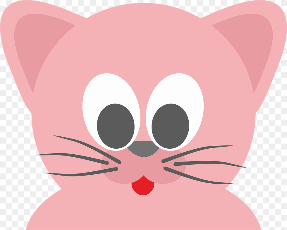 Kitten Face, Baby, Person Png