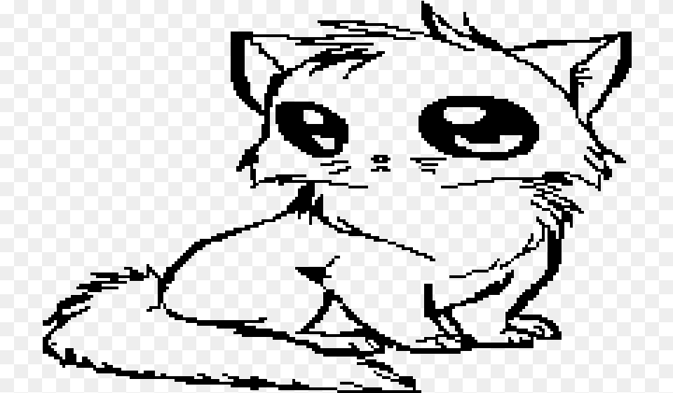 Kitten Face, Lighting Png