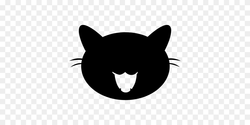 Kitten Face Cat Isolated Feline Photo, Gray Free Transparent Png