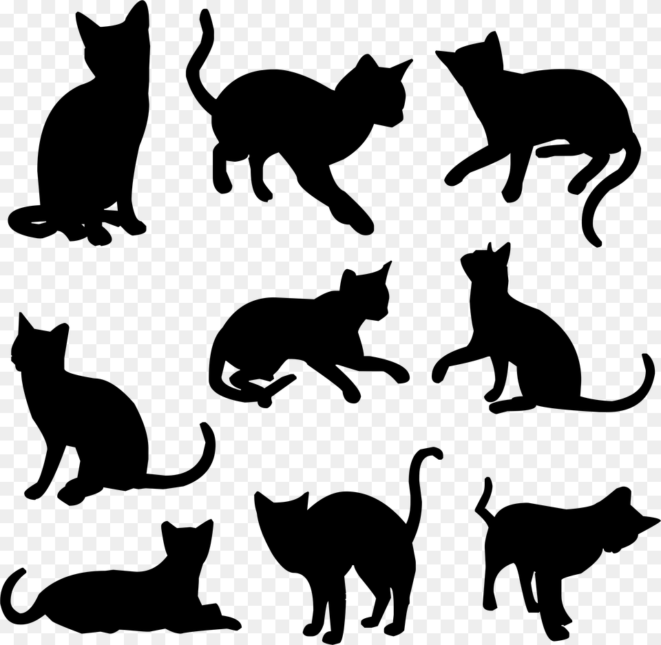 Kitten Siamese Cat Pet Black Cat Clip Art Silhouette Black Cat, Gray Free Transparent Png