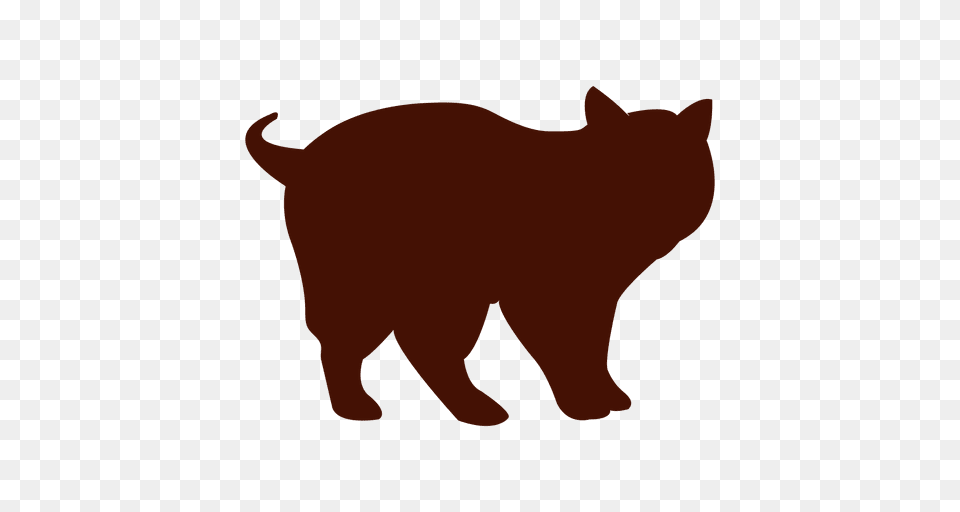 Kitten Silhouette, Animal, Bear, Cat, Mammal Free Png Download