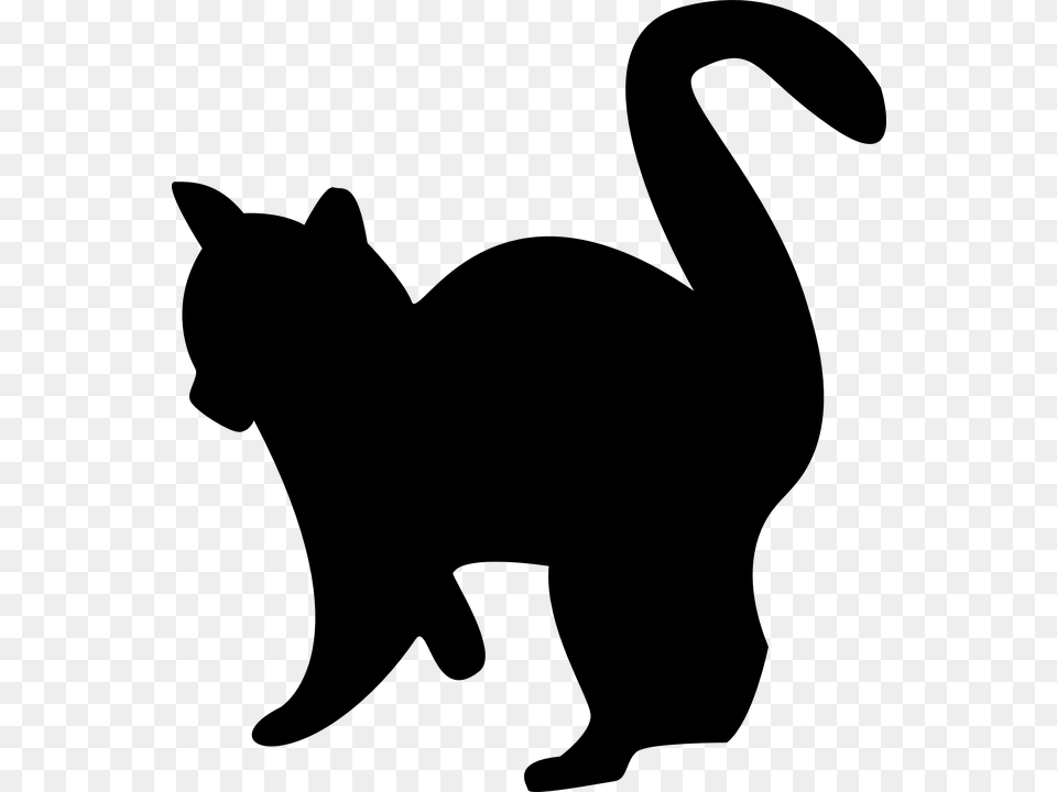 Kitten Silhouette Cat Black White Pet Gato Preto E Branco, Gray Free Png Download