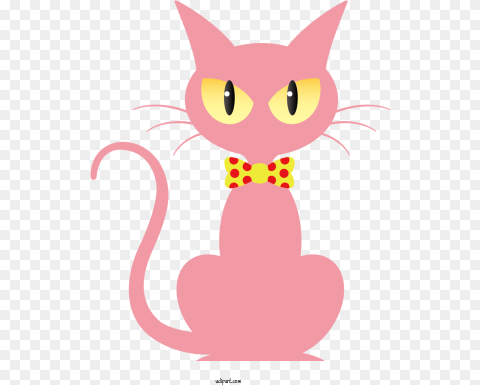Kitten Whiskers Cat For Halloween Halloween Logo, Animal, Mammal, Pet, Nature Png Image