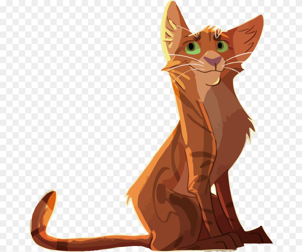Kitten Whiskers Cat Illustration Cat, Abyssinian, Animal, Mammal, Pet Free Png Download