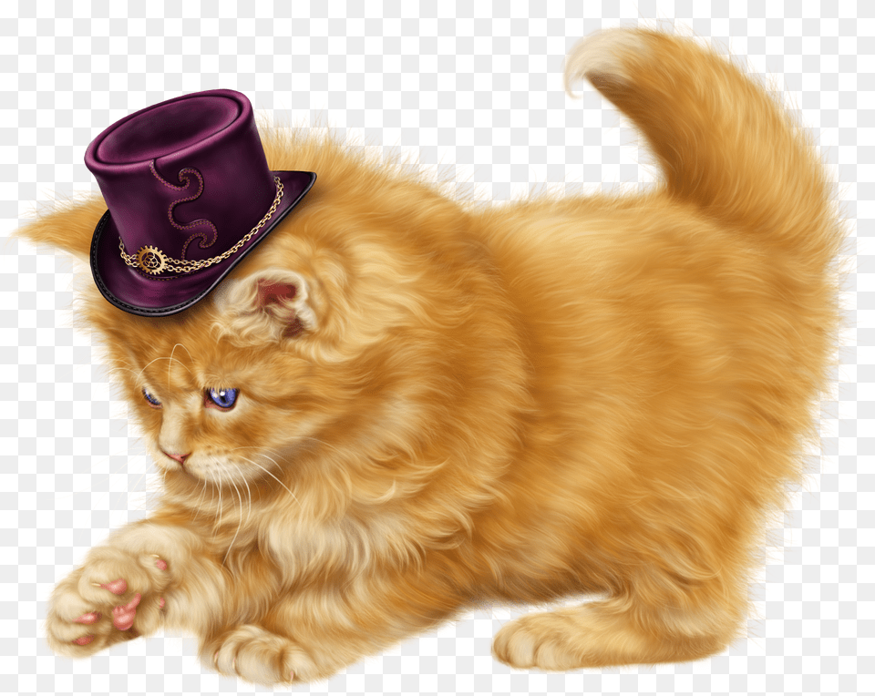 Kittens Clipart 7 Cat, Clothing, Hat, Animal, Mammal Free Transparent Png