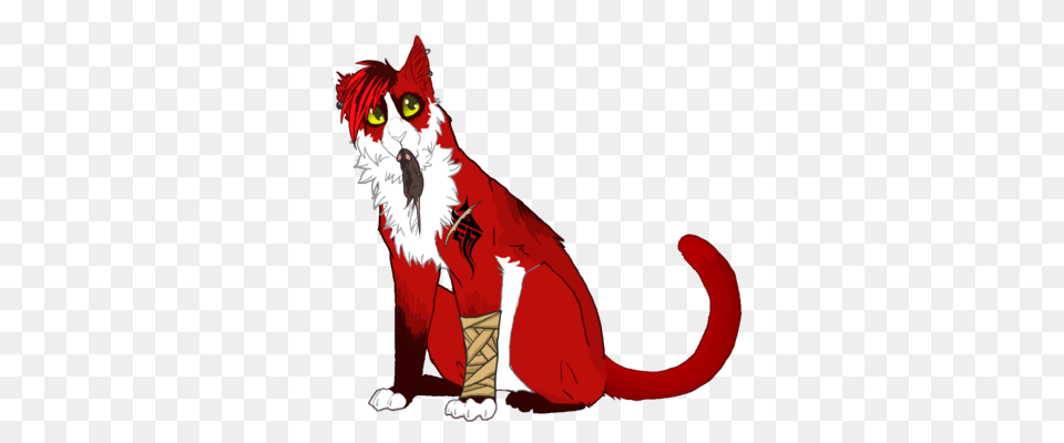 Kitty Cat Adopt, Animal, Mammal, Pet Free Transparent Png