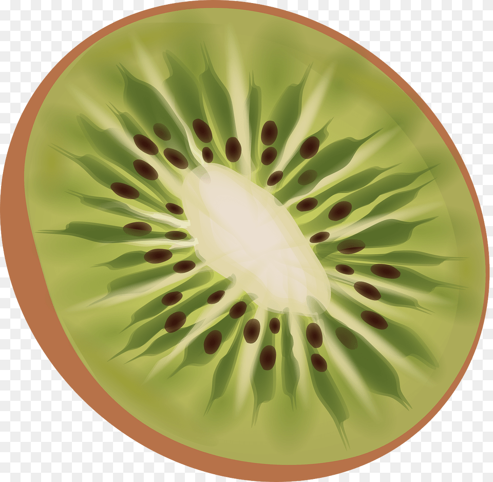 Kiwi, Food, Fruit, Plant, Plate Png