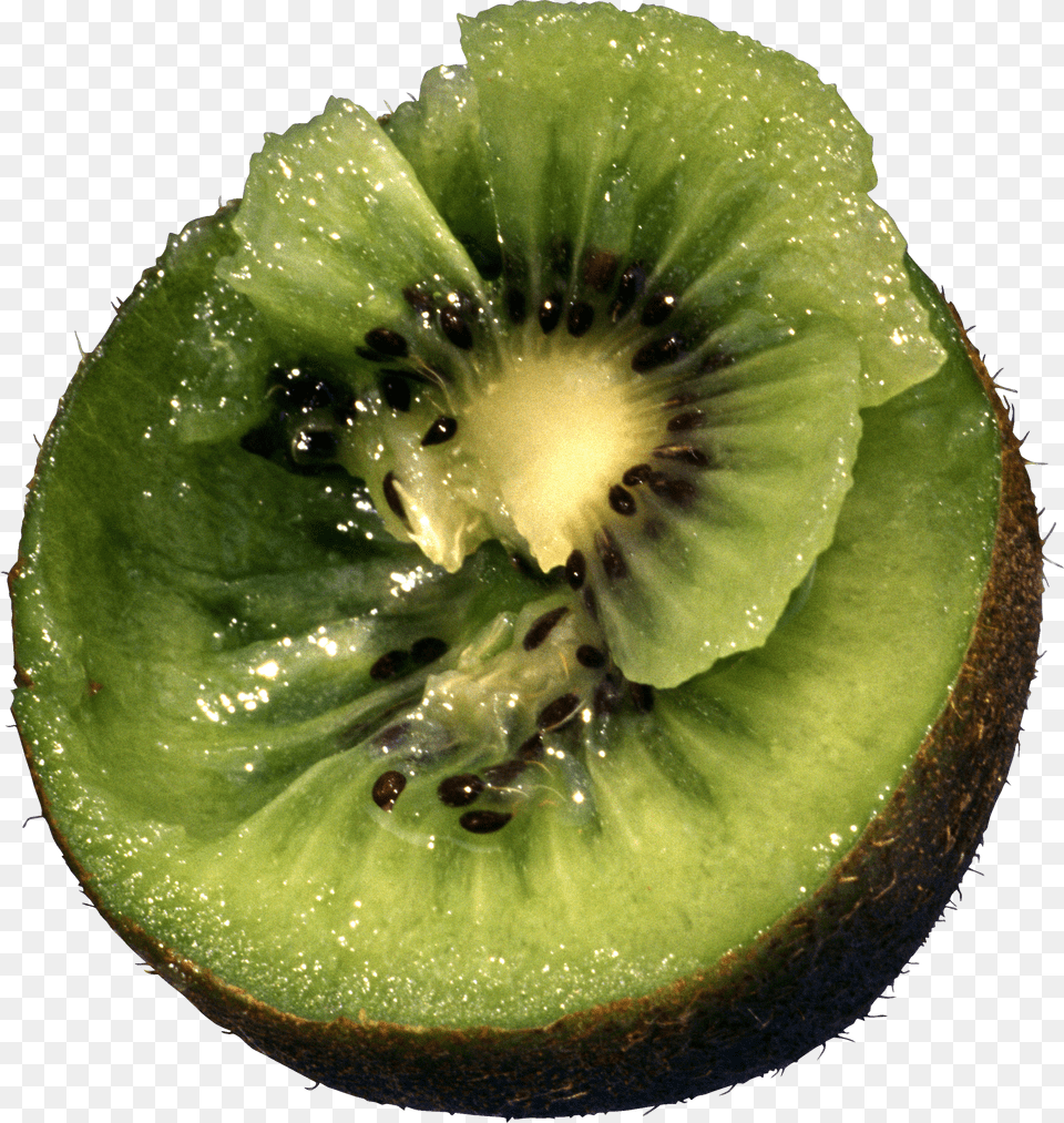 Kiwi Free Png Download