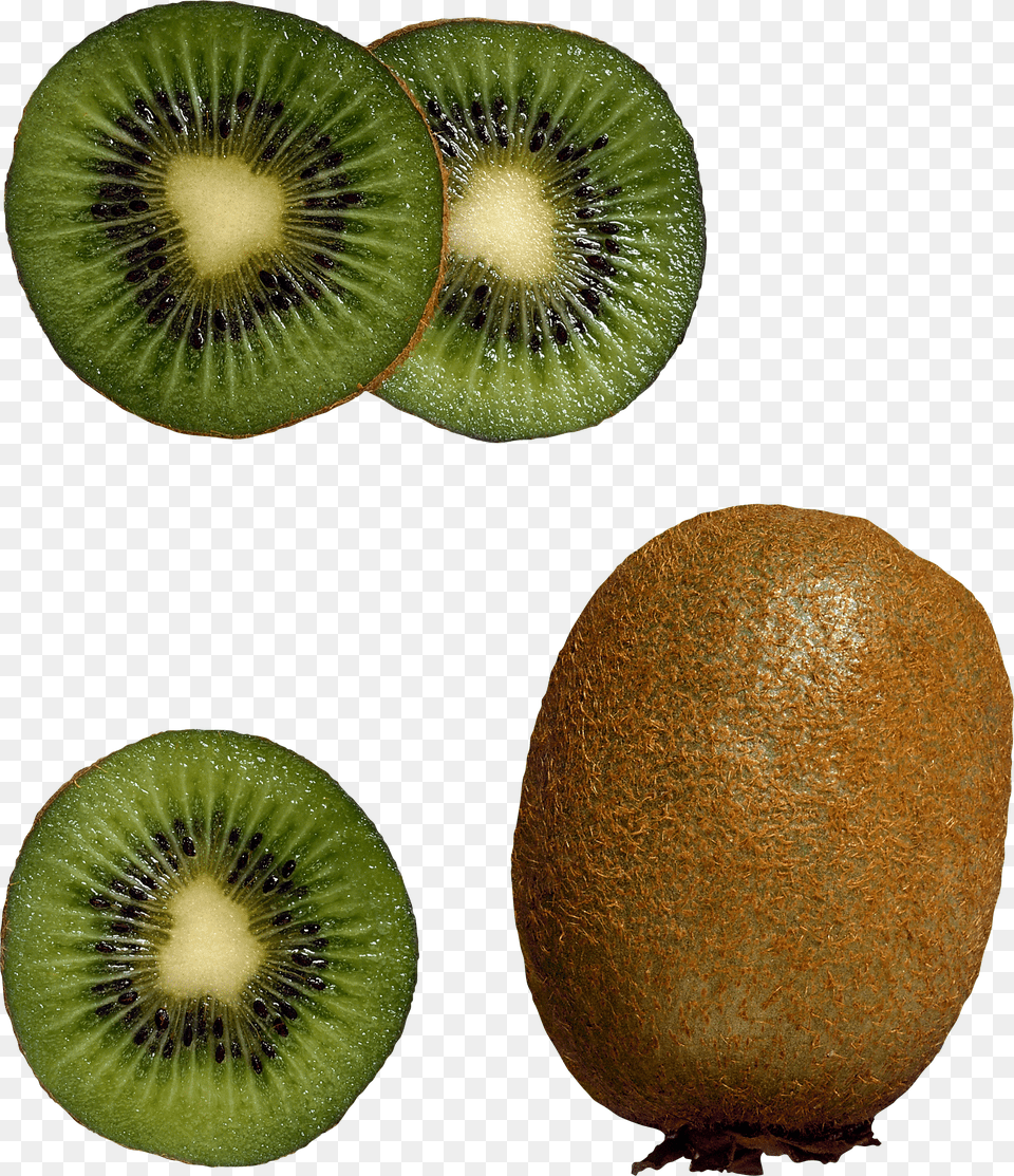 Kiwi Png