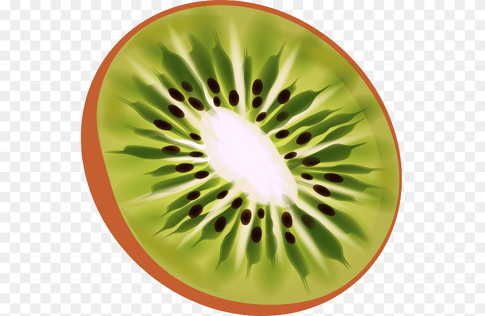 Kiwi, Food, Fruit, Plant, Plate Free Transparent Png