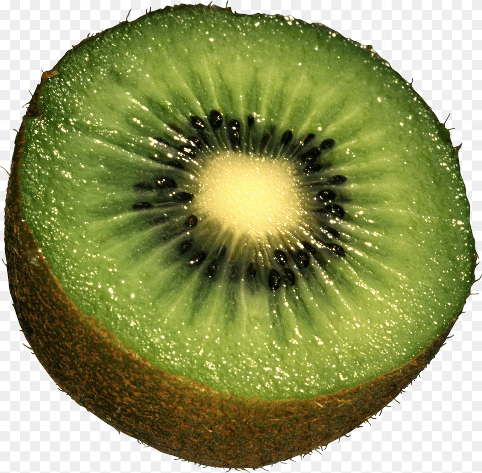 Kiwi Free Transparent Png