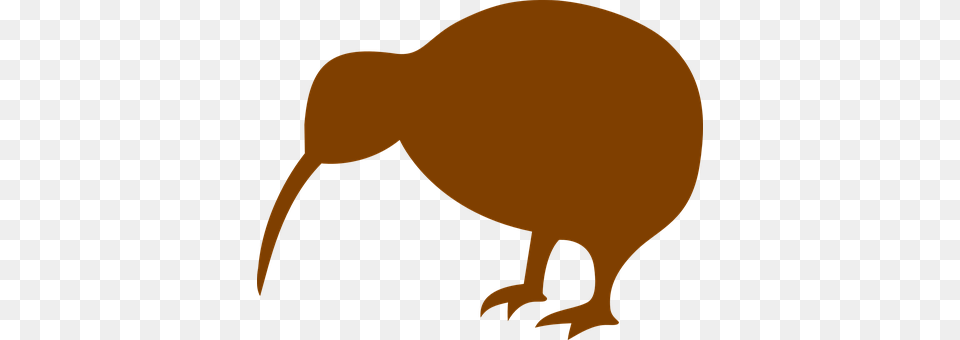 Kiwi Animal, Bird, Kiwi Bird Free Png