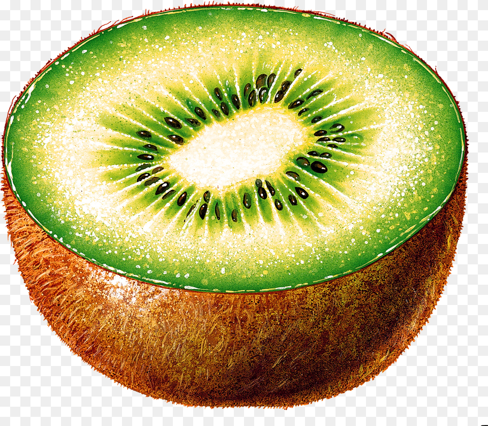 Kiwi, Food, Fruit, Plant, Produce Png Image