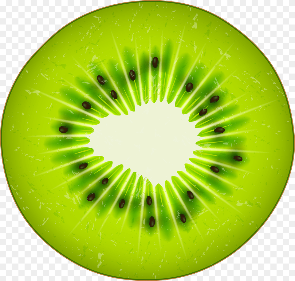 Kiwi, Adult, Portrait, Photography, Person Png