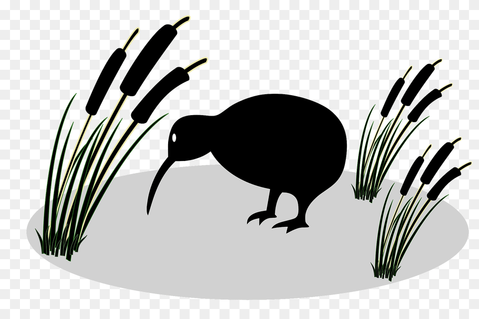 Kiwi And Reed Clipart, Animal, Beak, Bird, Kiwi Bird Png