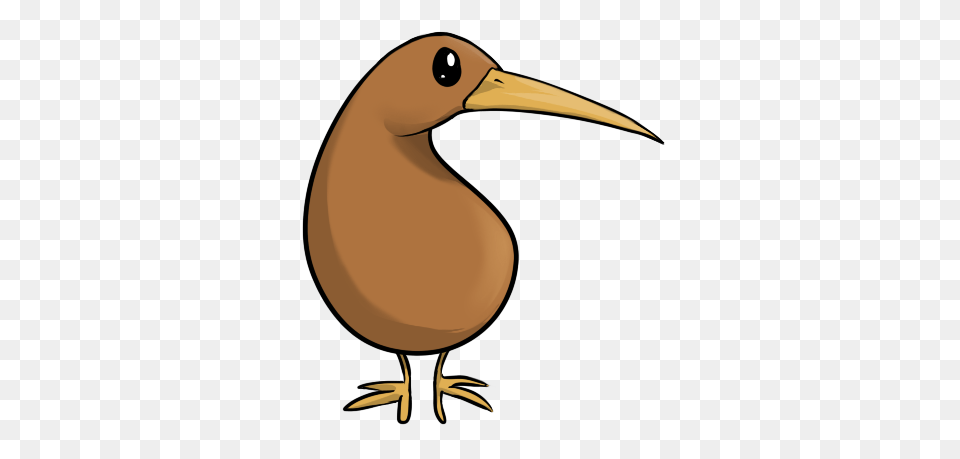 Kiwi Bird, Animal, Beak, Fish, Kiwi Bird Free Png Download