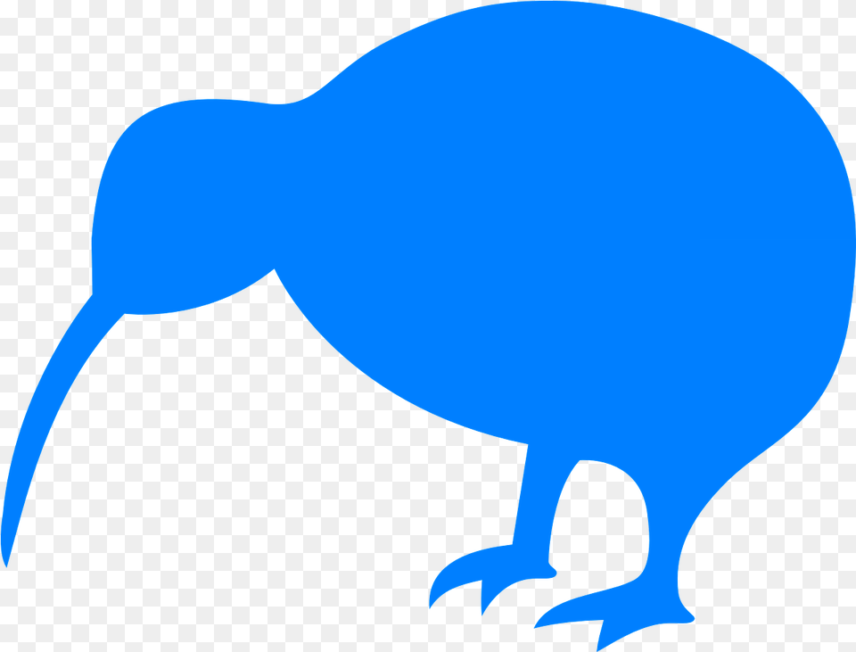 Kiwi Bird Animal Vector Graphic On Pixabay Kiwi New Zealand Flag, Kiwi Bird Free Transparent Png