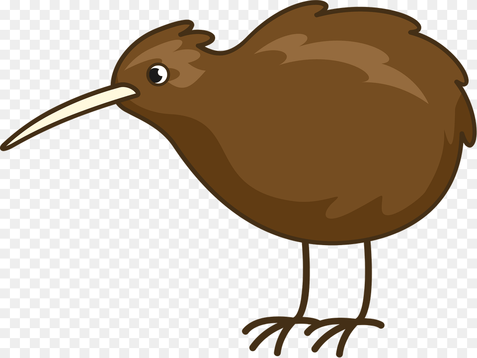 Kiwi Bird Clipart, Animal, Beak, Kiwi Bird, Fish Png