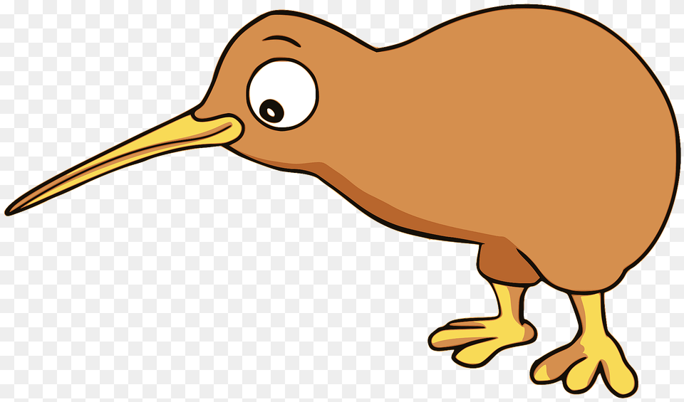 Kiwi Bird Clipart, Animal, Beak, Kiwi Bird, Fish Png Image