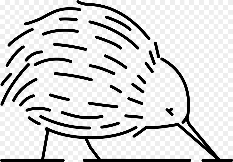 Kiwi Bird Clipart Coloring Book, Gray Png