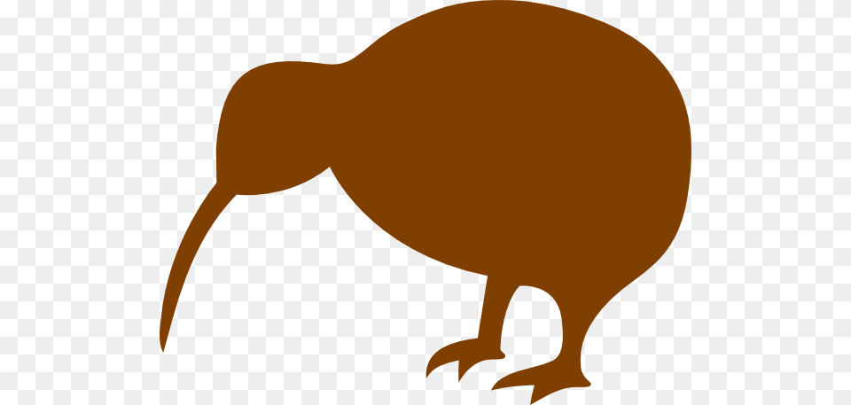 Kiwi Bird Clipart Tiki, Animal, Kiwi Bird, Bear, Mammal Png Image