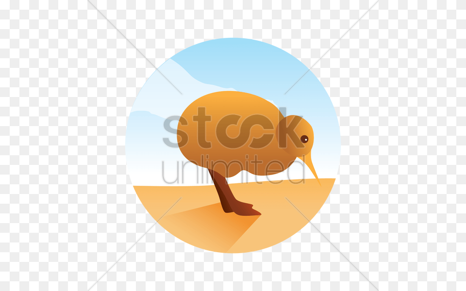 Kiwi Bird Clipart Sandpiper, Animal, Kiwi Bird Free Transparent Png