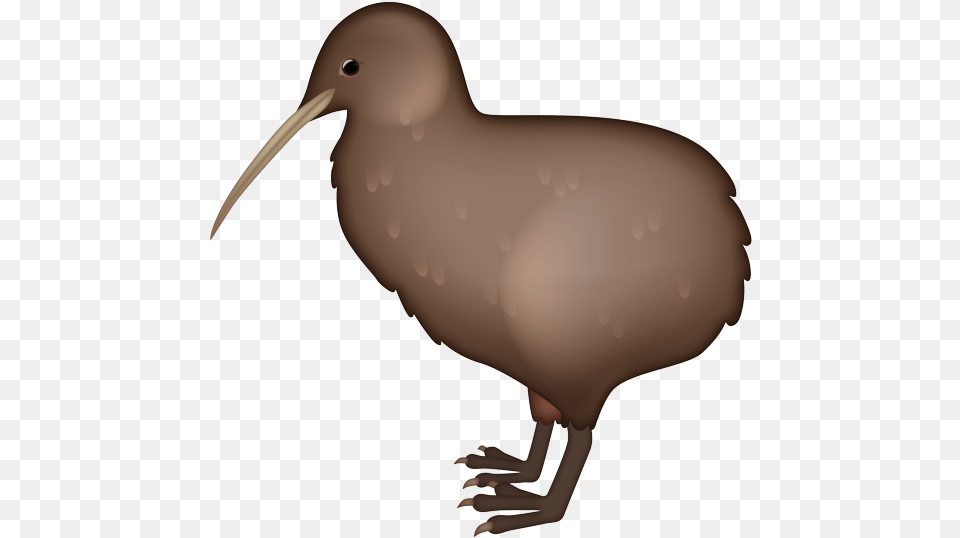 Kiwi Bird Emoji Kiwi Bird Emoji, Animal, Beak, Kiwi Bird, Baby Png