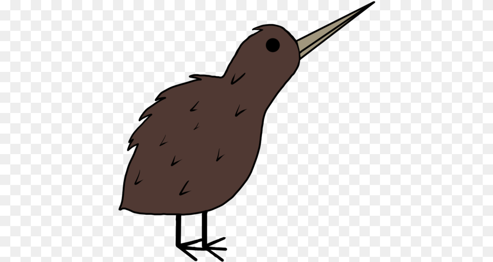 Kiwi Bird Illustration, Animal, Beak, Fish, Sea Life Png