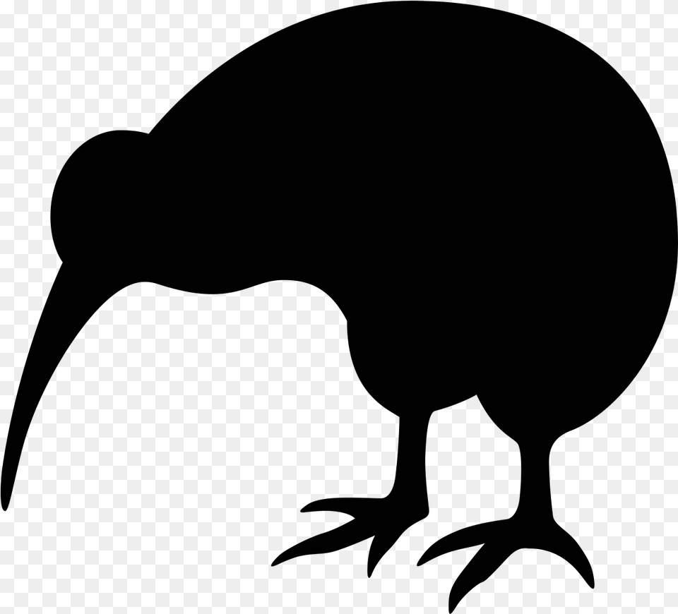 Kiwi Bird Image Kiwi Symbol New Zealand, Animal, Kiwi Bird Free Transparent Png