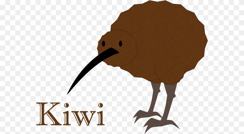 Kiwi Bird Partypro Tqp 1005 K Monogram Coaster, Animal, Baby, Person, Beak Free Transparent Png