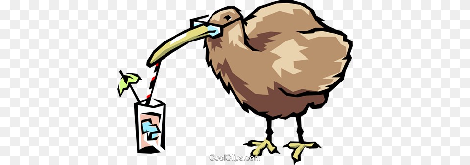 Kiwi Bird Royalty Vector Clip Art Illustration, Animal, Beak, Baby, Person Png