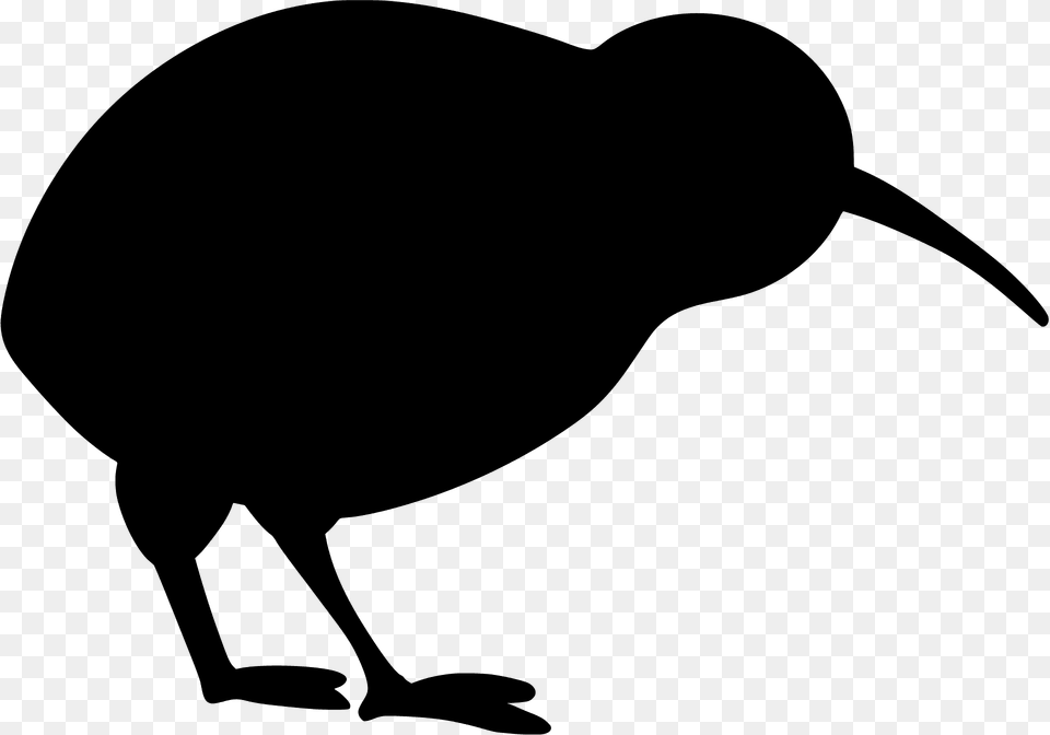 Kiwi Bird Silhouette, Animal, Beak, Kiwi Bird, Fish Png Image