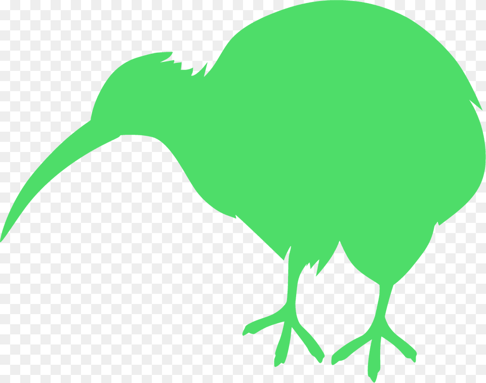 Kiwi Bird Silhouette, Animal, Beak, Kiwi Bird, Fish Png