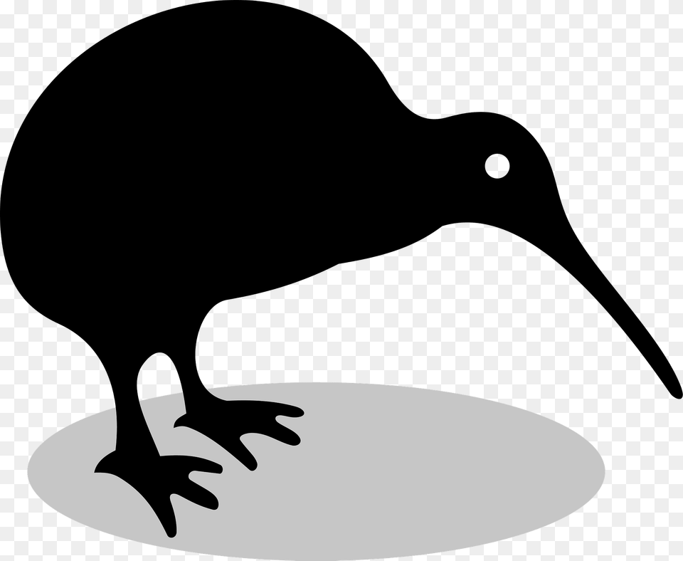 Kiwi Clipart, Animal, Bird, Kiwi Bird, Fish Png