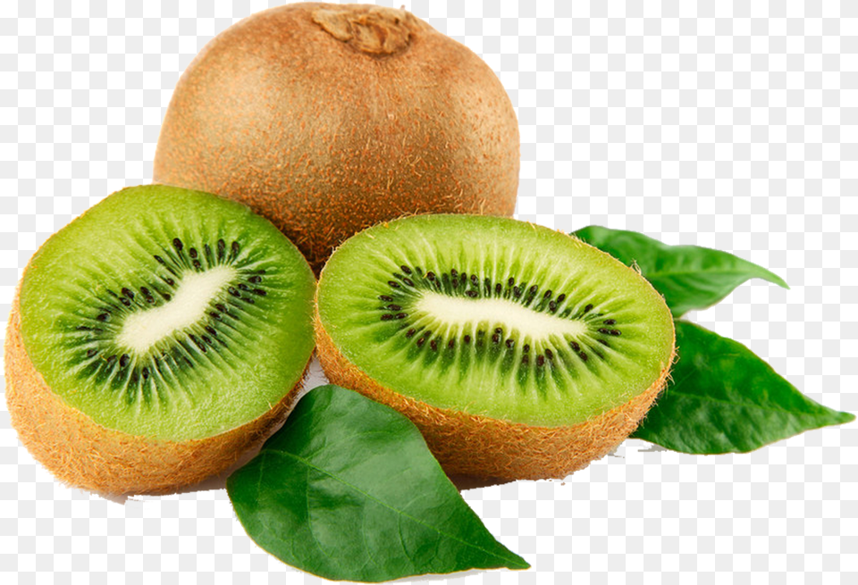 Kiwi Download Kiwi Fruit, Food, Plant, Produce, Animal Free Png