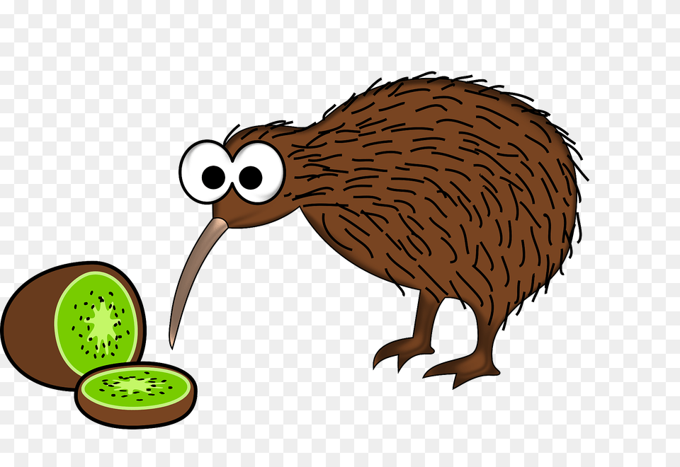 Kiwi Fruit And Kiwi Bird Clipart, Animal, Kiwi Bird, Food, Plant Free Transparent Png
