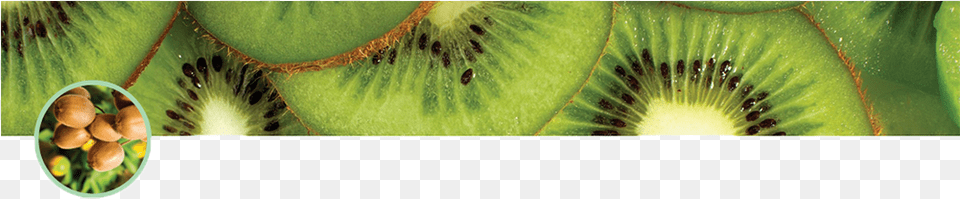 Kiwi Fruit Gea Farm Technologies, Food, Plant, Produce Free Png Download