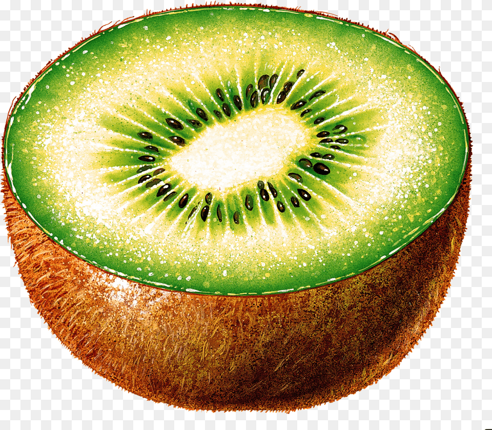 Kiwi Kiwi Cut In Half, Food, Fruit, Plant, Produce Free Png